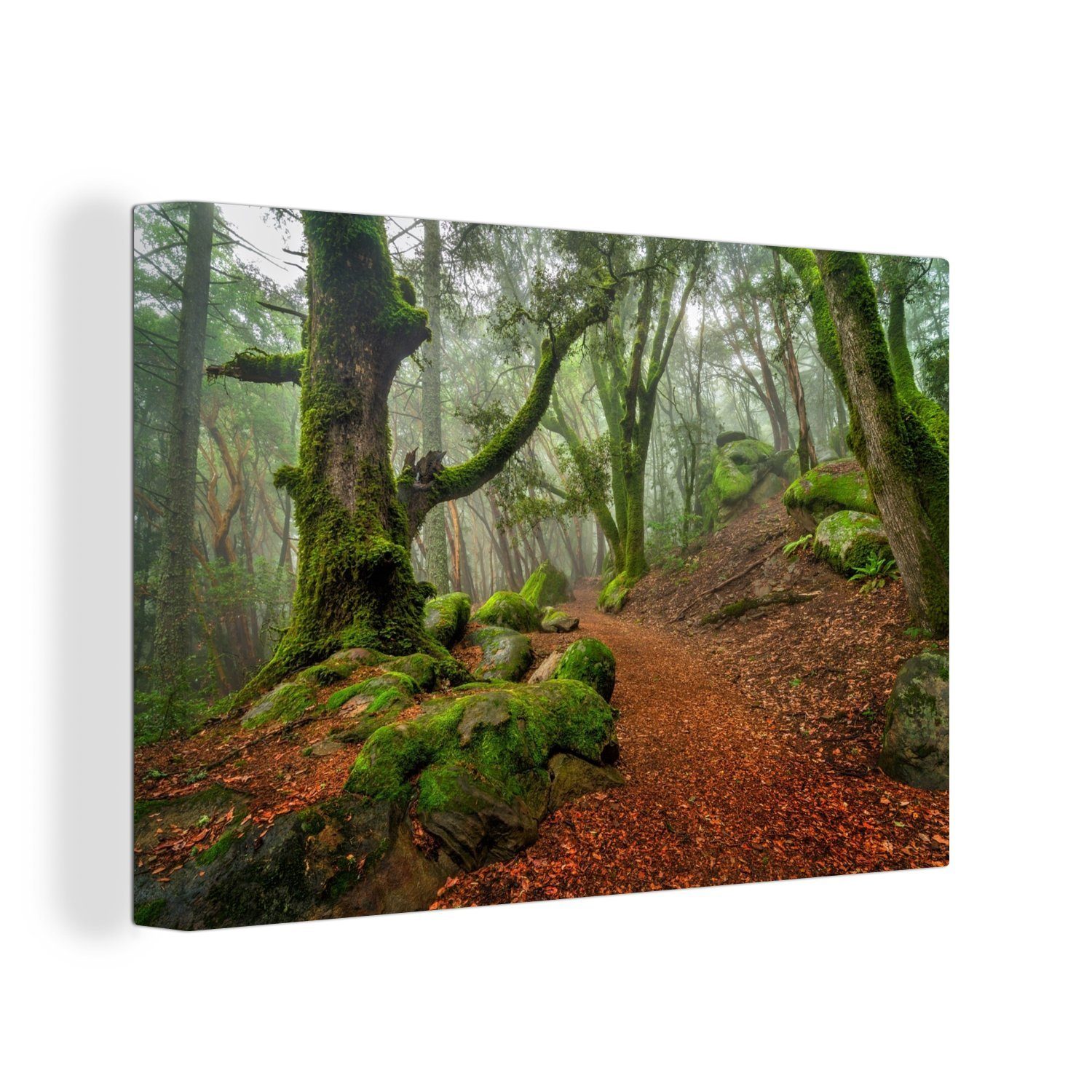 OneMillionCanvasses® Leinwandbild Felsen und Bäume in den Bergen von Santa Cruz, Kalifornien, (1 St), Wandbild Leinwandbilder, Aufhängefertig, Wanddeko, 30x20 cm
