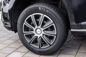 Michelin Blende Vier Stück LOUISE Luise 14 zoll Radzierblende 4er Set universal Radkappen