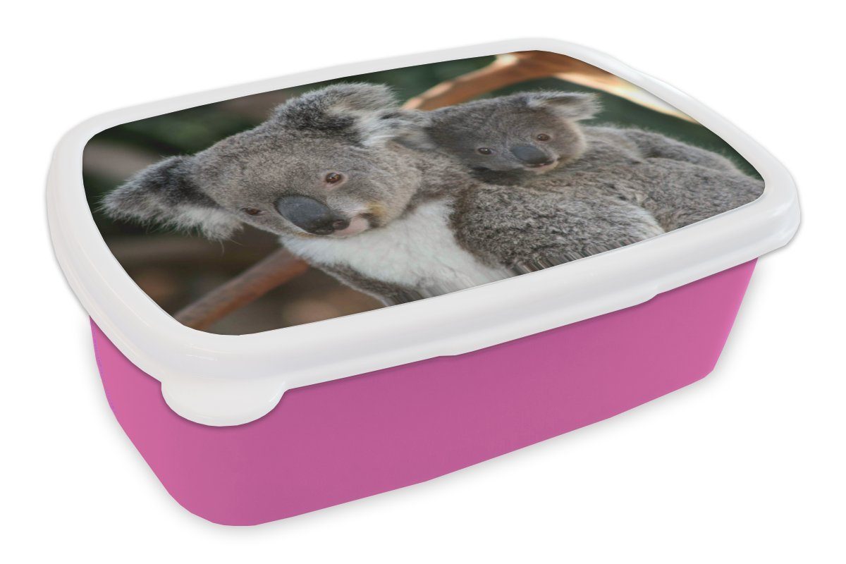 MuchoWow Lunchbox Koalas - Vater - Kind - Jungen - Mädchen, Kunststoff, (2-tlg), Brotbox für Erwachsene, Brotdose Kinder, Snackbox, Mädchen, Kunststoff rosa