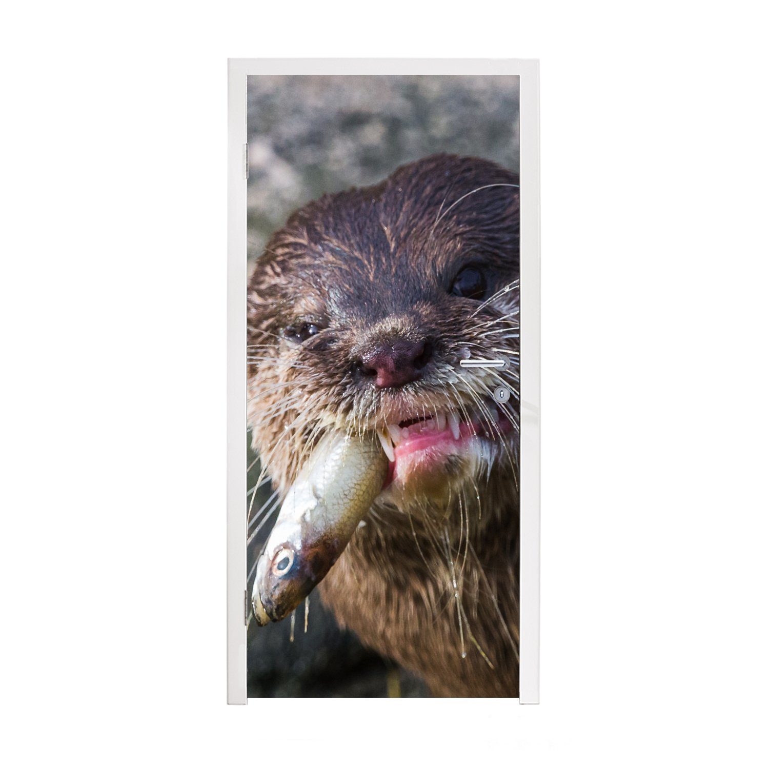 MuchoWow Türtapete Otter frisst Fisch, Matt, bedruckt, (1 St), Fototapete für Tür, Türaufkleber, 75x205 cm