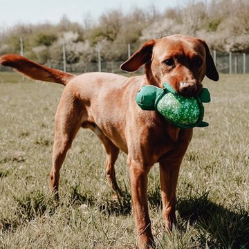 Hunter Tierbedarf Outdoor-Spielzeug FLINGERZ Wurf-Hundespielzeug Splash Schildkröte