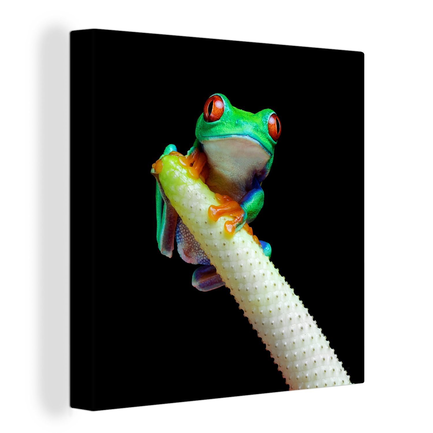 OneMillionCanvasses® Leinwandbild Frosch - Tier - Pflanze, (1 St), Leinwand Bilder für Wohnzimmer Schlafzimmer