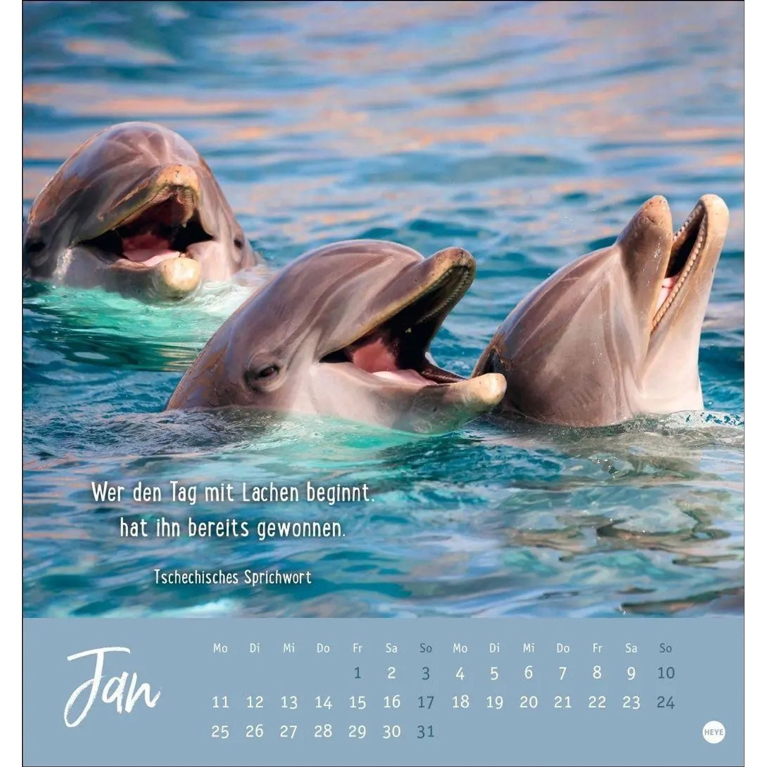 HEYE Wandkalender Never give up! Postkartenkalender 2027 - Durchhalten. Denn alles...
