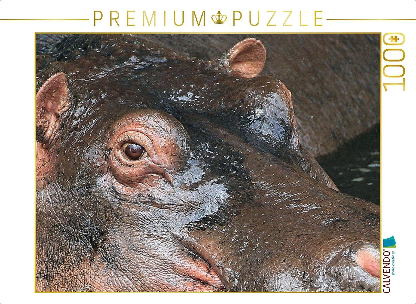 CALVENDO Puzzle CALVENDO Puzzle Flusspferde – Augen-Blick 1000 Teile Lege-Größe 64 x 48 cm Foto-Puzzle Bild von Michael Herzog, 1000 Puzzleteile