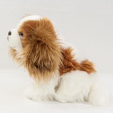 Teddys Rothenburg Kuscheltier Plüschhund Cavalier King Charles Spaniel 25 cm weiß braun