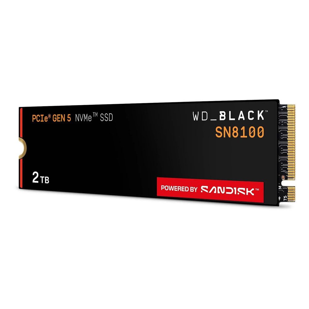 Sandisk