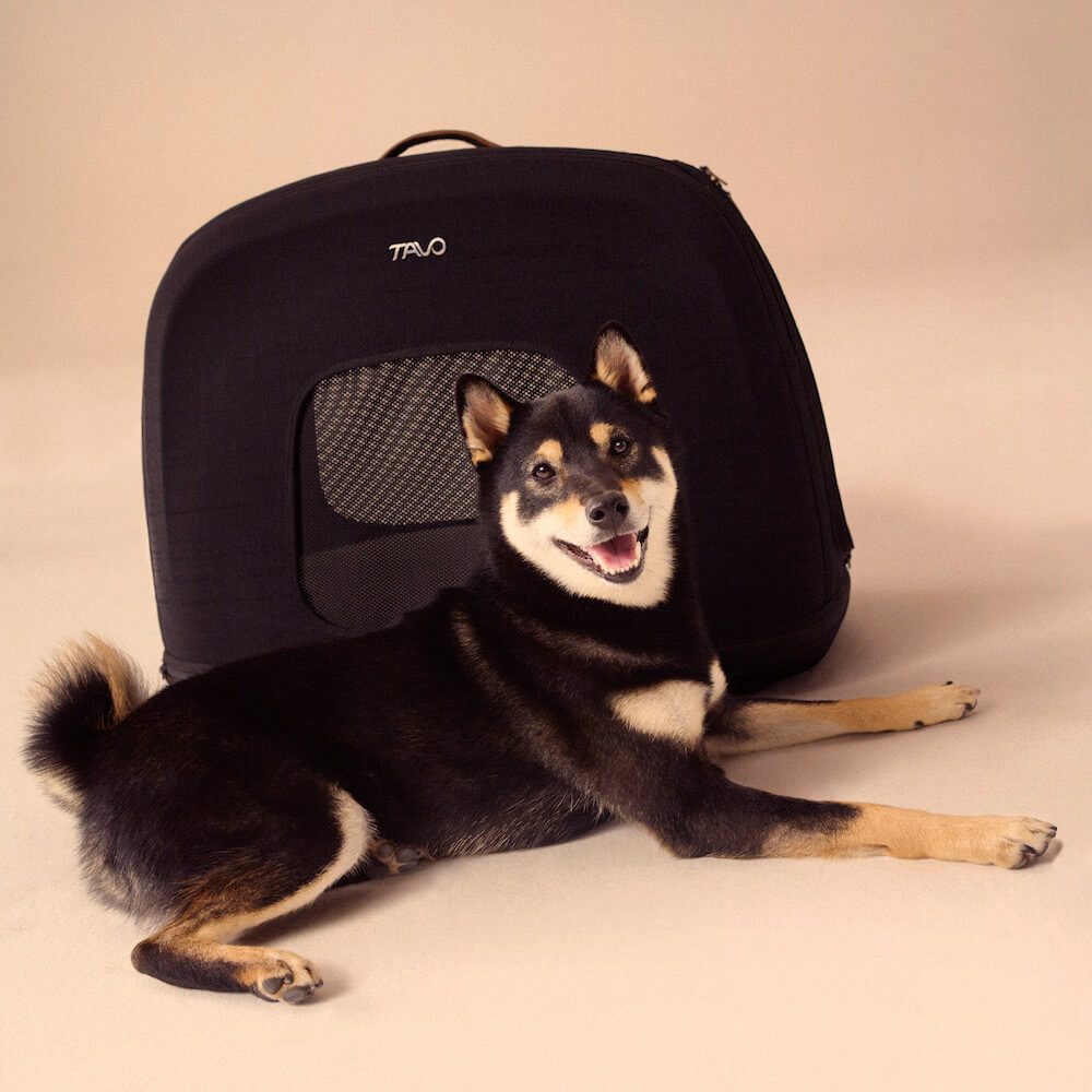 Tavo Hunde-Transportbox Tavo Crispin Medium Tier Transporttasche