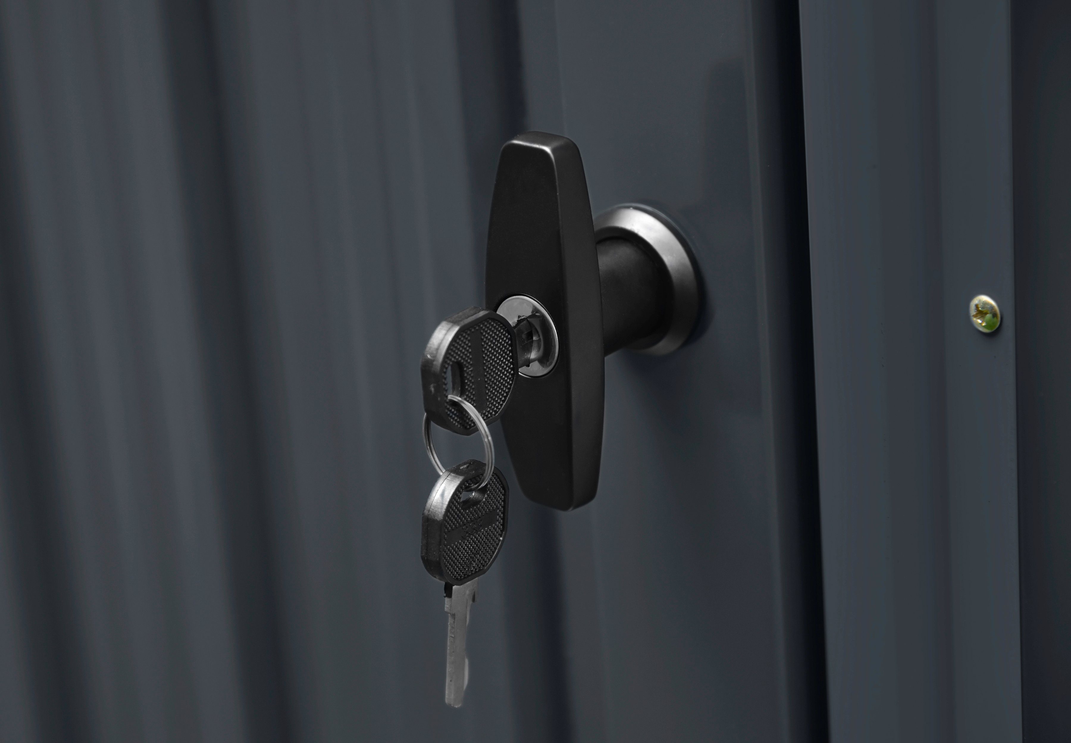 KONIFERA Gerätehaus Gartenhaus Stefano maxi, BxT: 290x245 cm, (Set), Metall