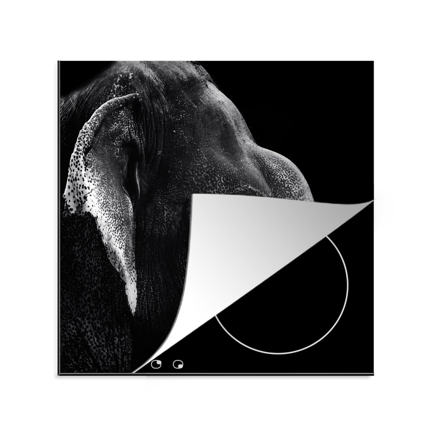 tlg), küche und cm, weiß, Vinyl, 78x78 Elefant schwarz Arbeitsplatte in Herdblende-/Abdeckplatte auf für MuchoWow (1 Ceranfeldabdeckung, schwarzem Hintergrund