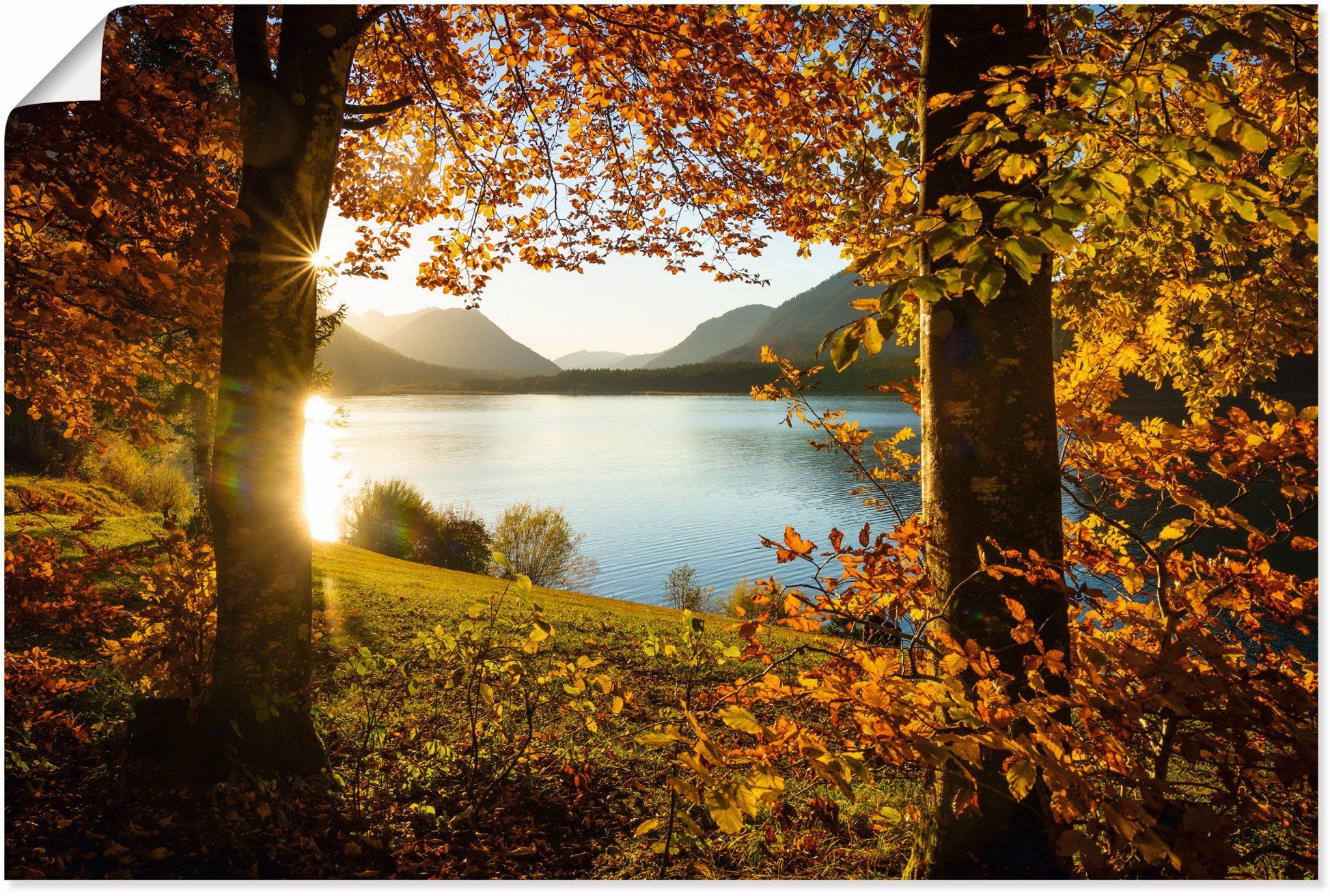 Artland Wandbild Herbst am Sylvensteinsee, Gewässer (1 St), als Alubild, Leinwandbild, Wandaufkleber oder Poster in versch. Größen