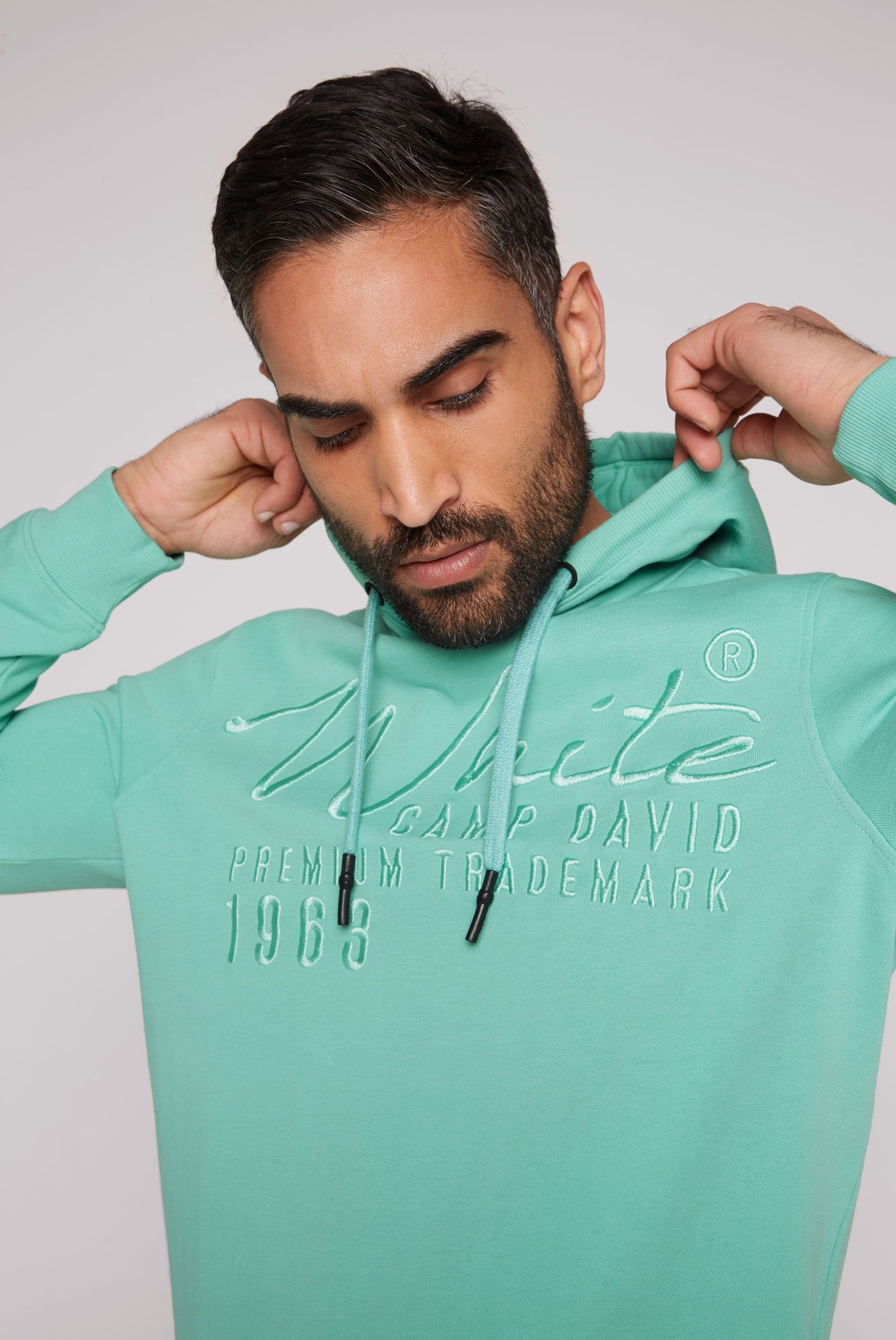 Logostickerei DAVID CAMP mit nordic Kapuzensweatshirt green