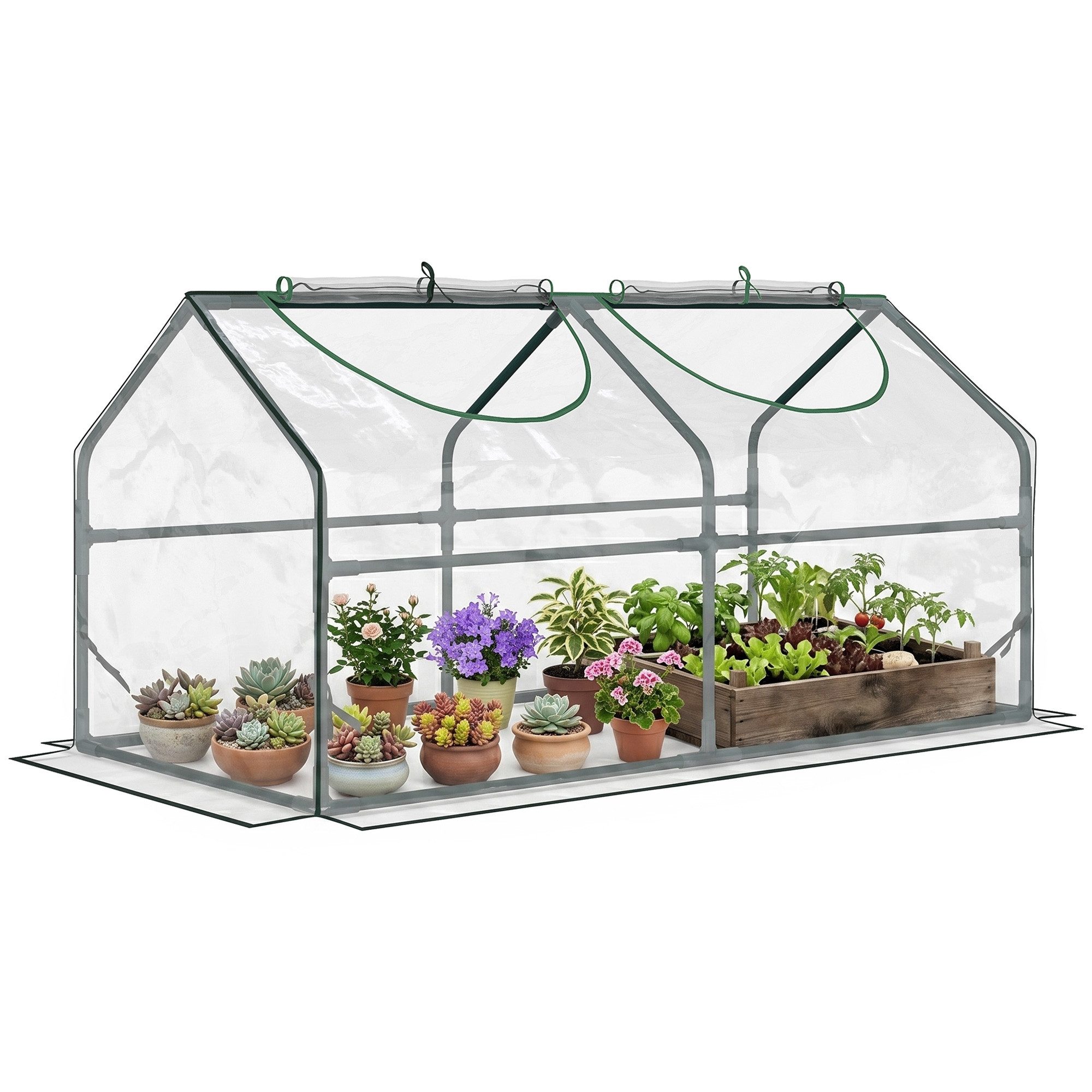 MC Star Gewächshaus Mini-Gewächshaus mit 2 Rollfenstern, und UV-beständiger PVC-Abdeckung, 120 x 60 x 60 cm, transparent