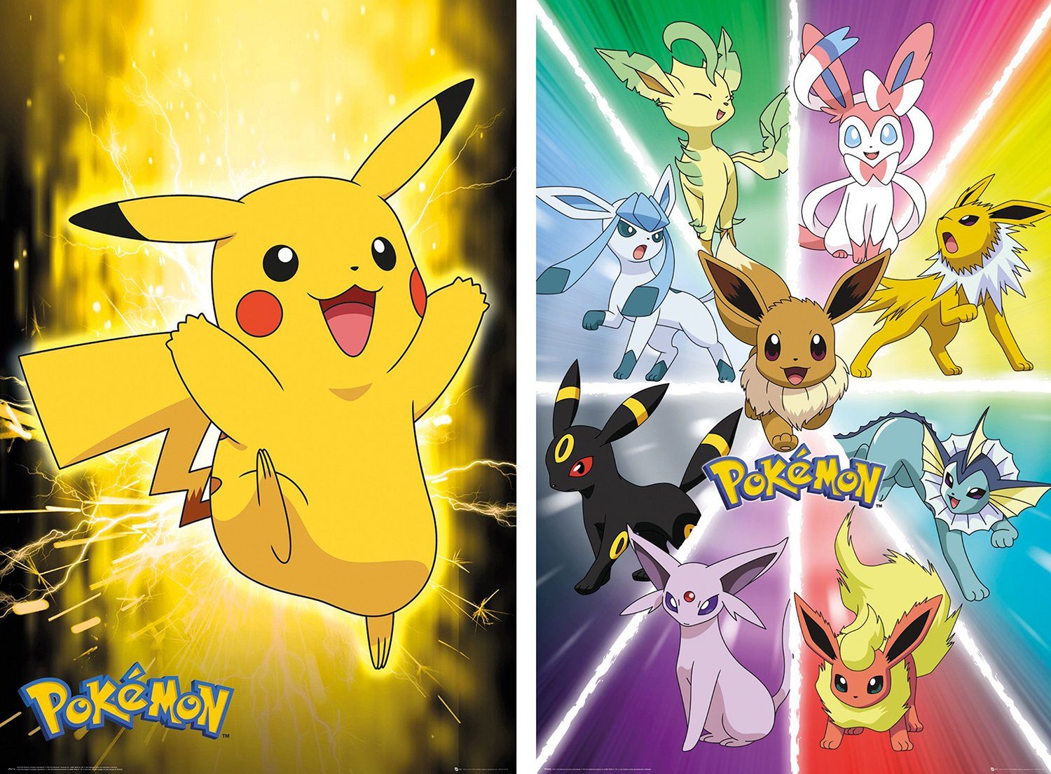 The Pokémon Company International Poster Pokemon Poster 2erSet 61 x 91,5 cm günstig online kaufen