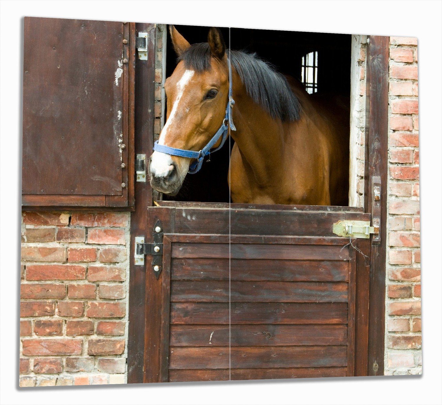 Wallario Herd-Abdeckplatte Pferd im Stall, ESG-Sicherheitsglas, (Glasplatte, 2 tlg., inkl. 5mm Noppen), verschiedene Größen