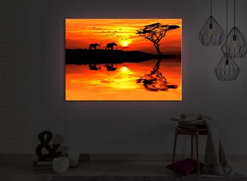 lightbox-multicolor LED-Bild Elefanten in afrikanischer Steppe front lighted / 60x40cm, Leuchtbild mit Fernbedienung