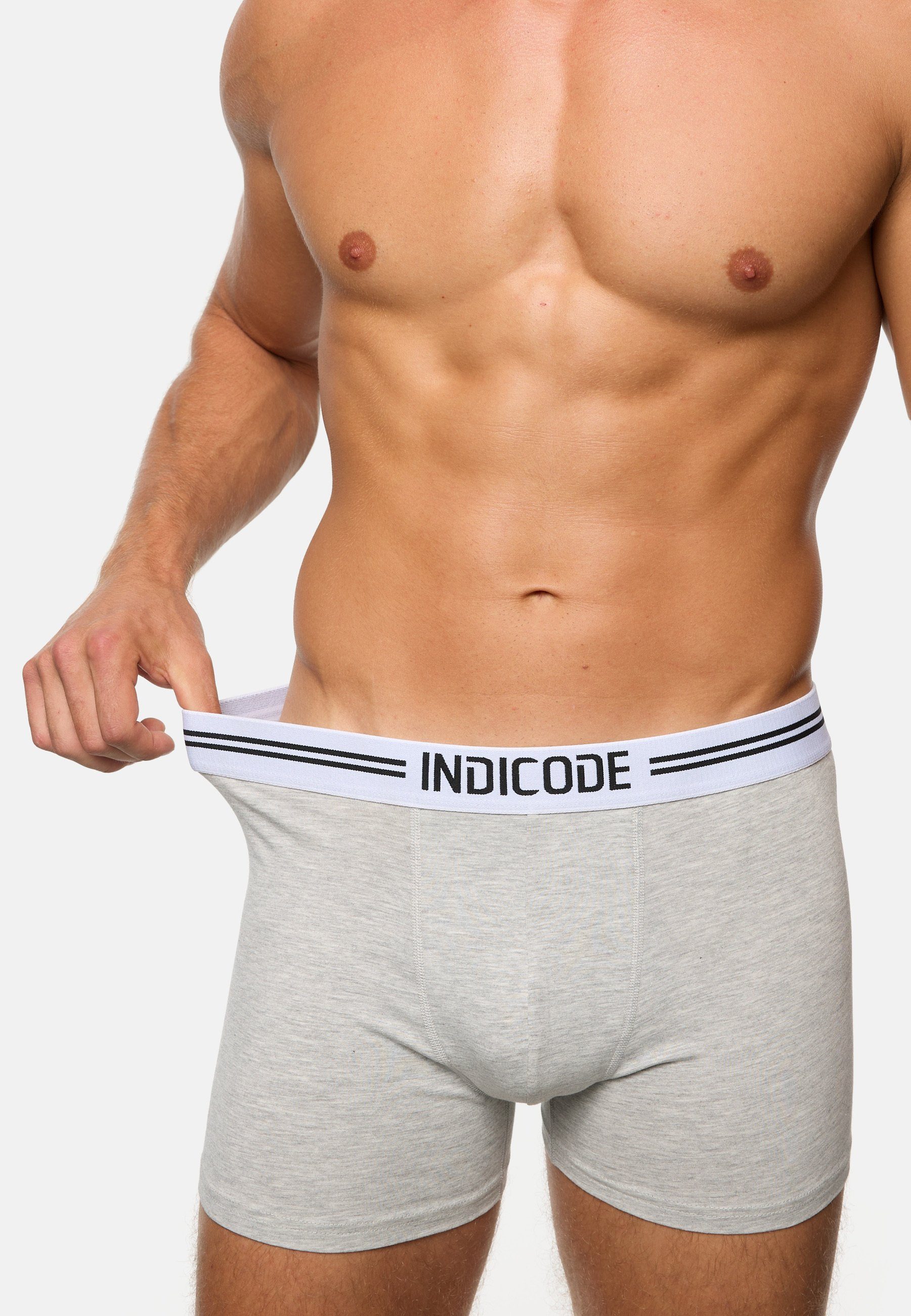 Indicode Boxershorts Herren Copenhagen Boxer Shorts Herrenshorts (Boxershorts) 7er Pack