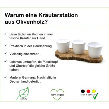 Olivenholz-erleben Kräuterbeet 3er Kräuterstation Olivenholz-Sockel (1 St), antibakterielle Wirkung