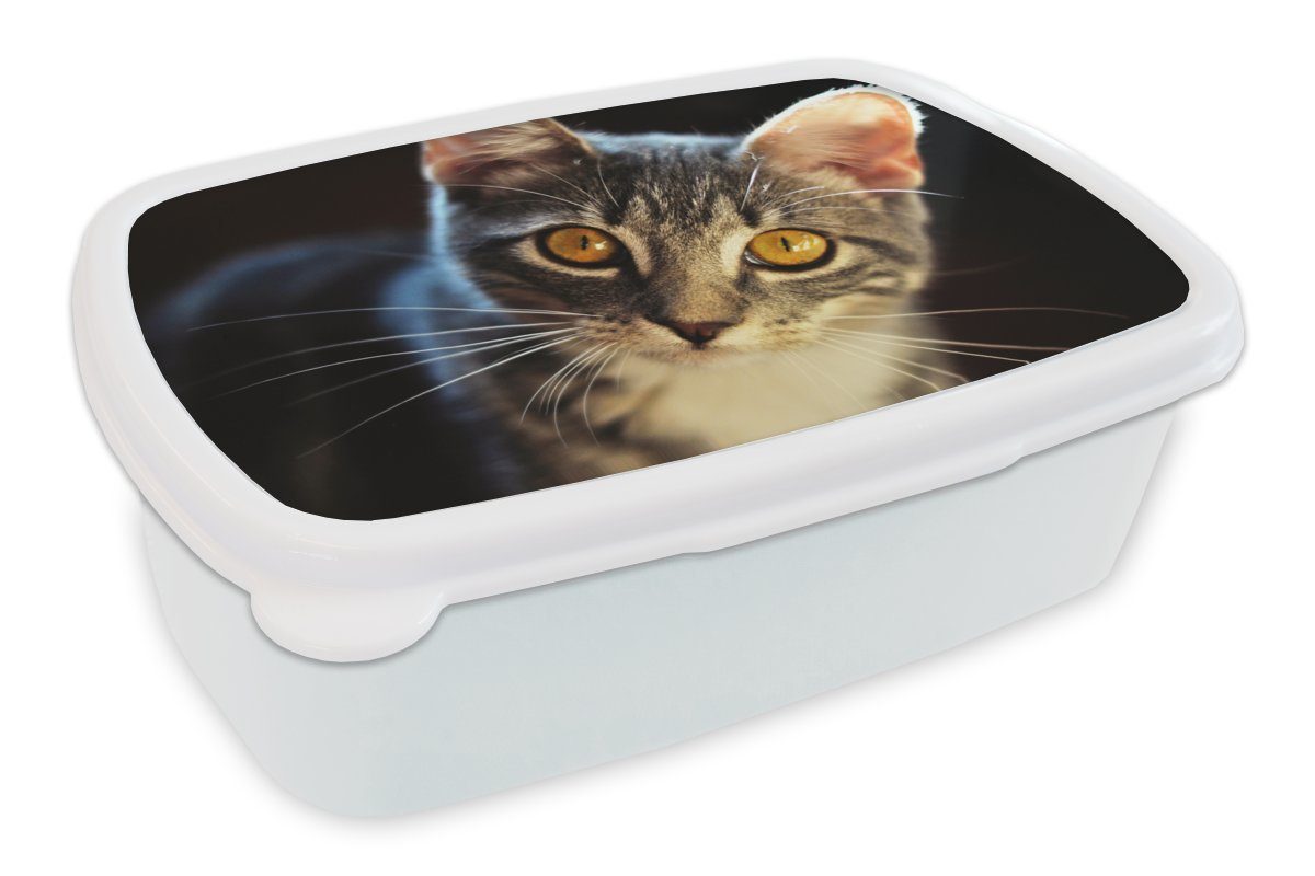 MuchoWow Lunchbox Katzen - Tiere - Augen - Grau, Kunststoff, (2-tlg), Brotbox für Kinder und Erwachsene, Brotdose, für Jungs und Mädchen weiß