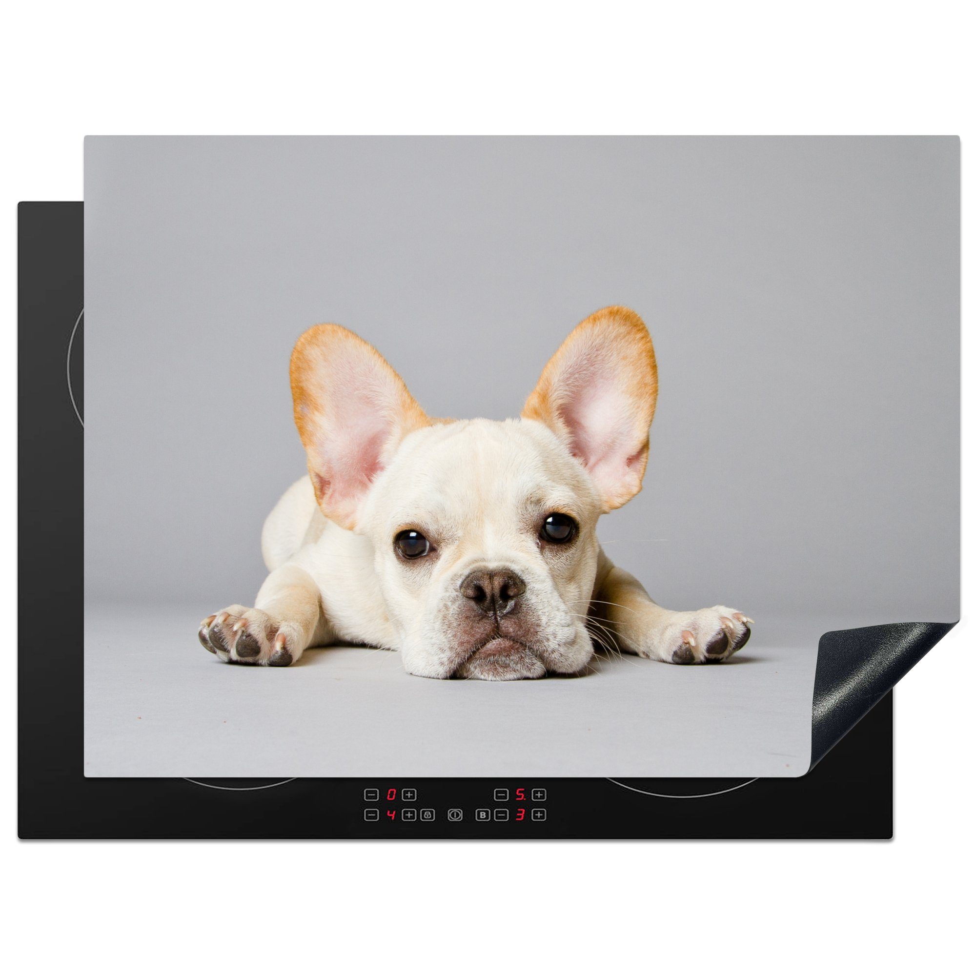 MuchoWow Herdblende-/Abdeckplatte Französische Bulldogge - Weiß - Beine, Vinyl, (1 tlg), 70x52 cm, Mobile Arbeitsfläche nutzbar, Ceranfeldabdeckung