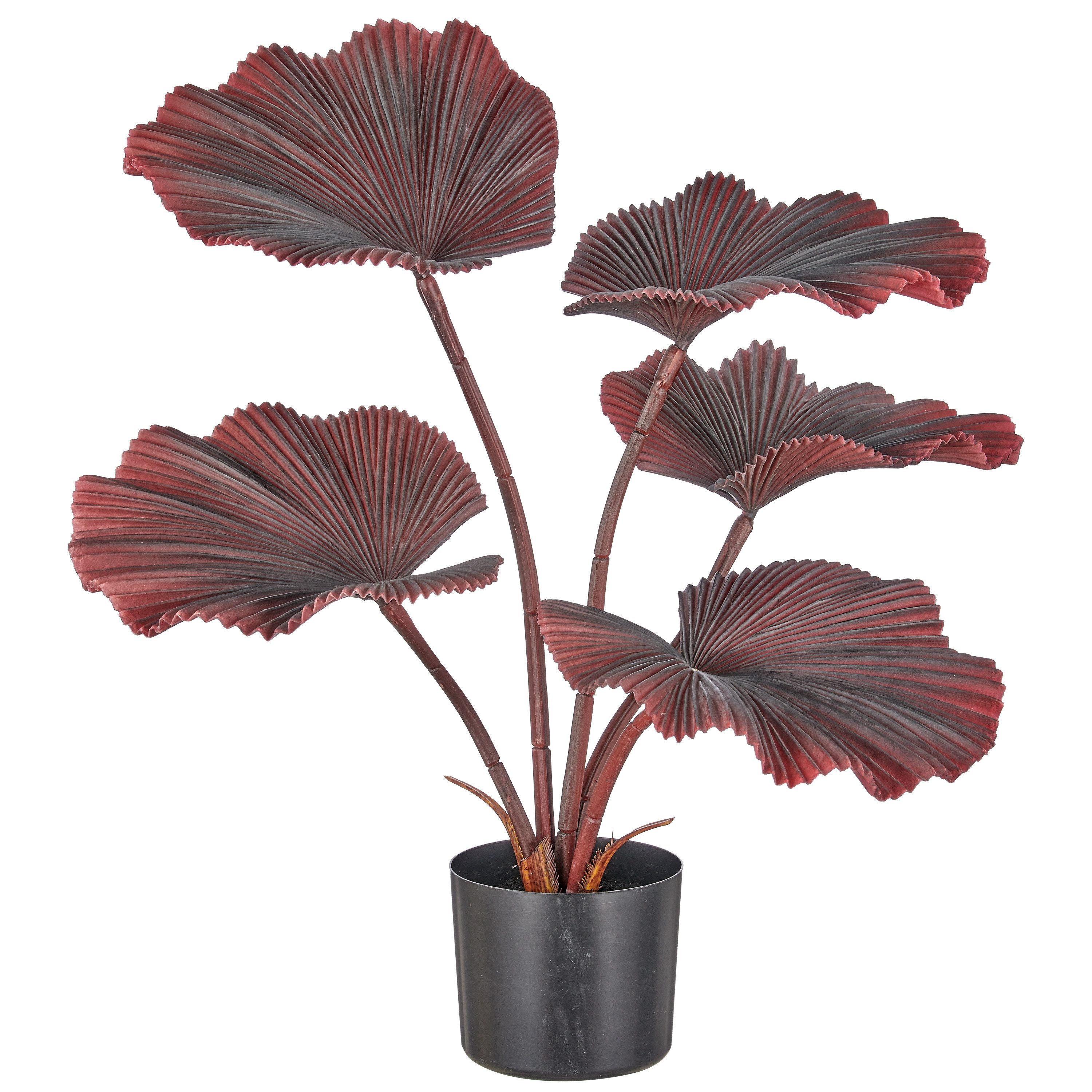 Kunstpalme Strahlenpalme, Creativ green, Höhe 65 cm, im modernen Design