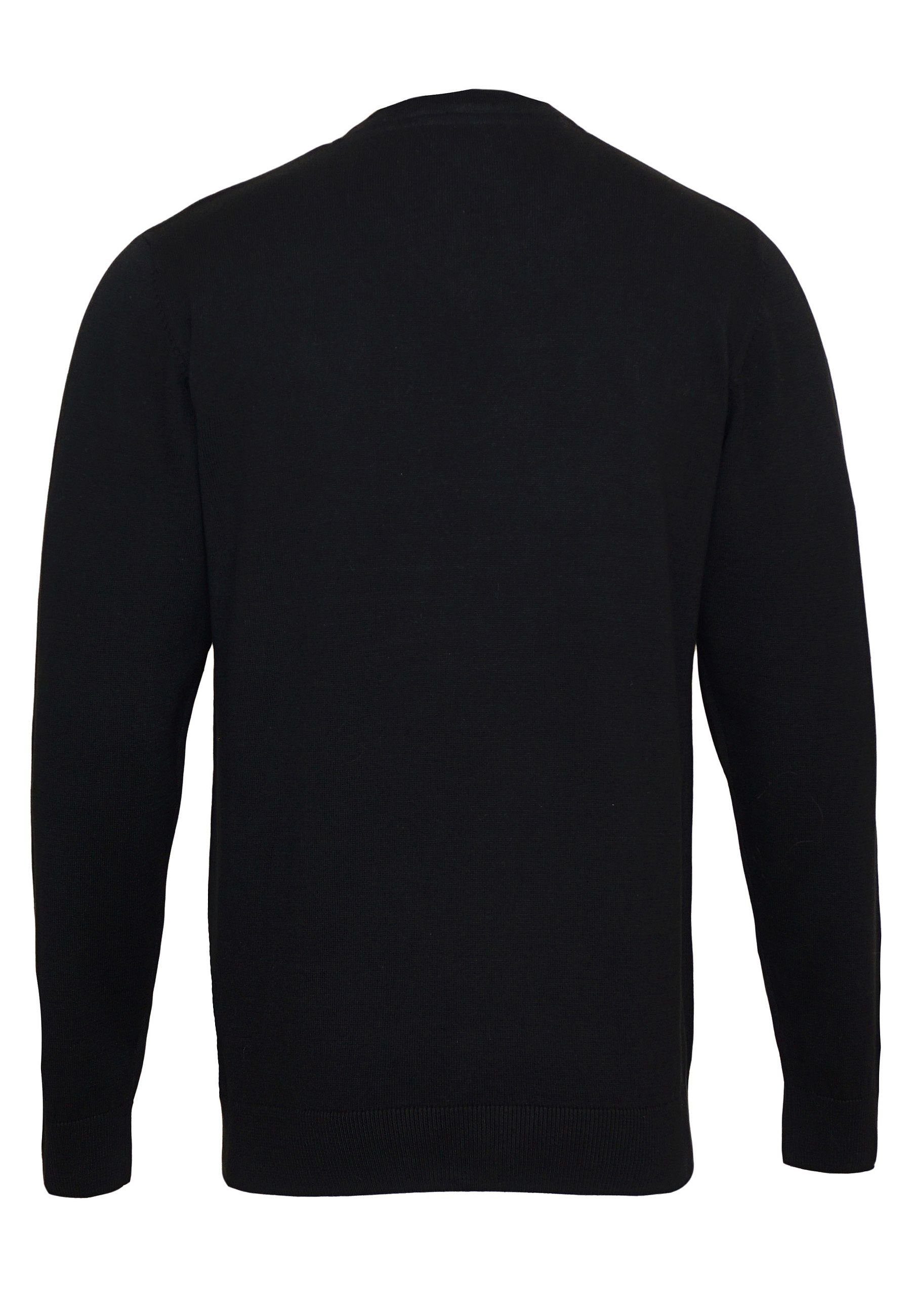U.S. Polo Assn. Strickpullover Pullover Strickpullover V-Neck (1-tlg)