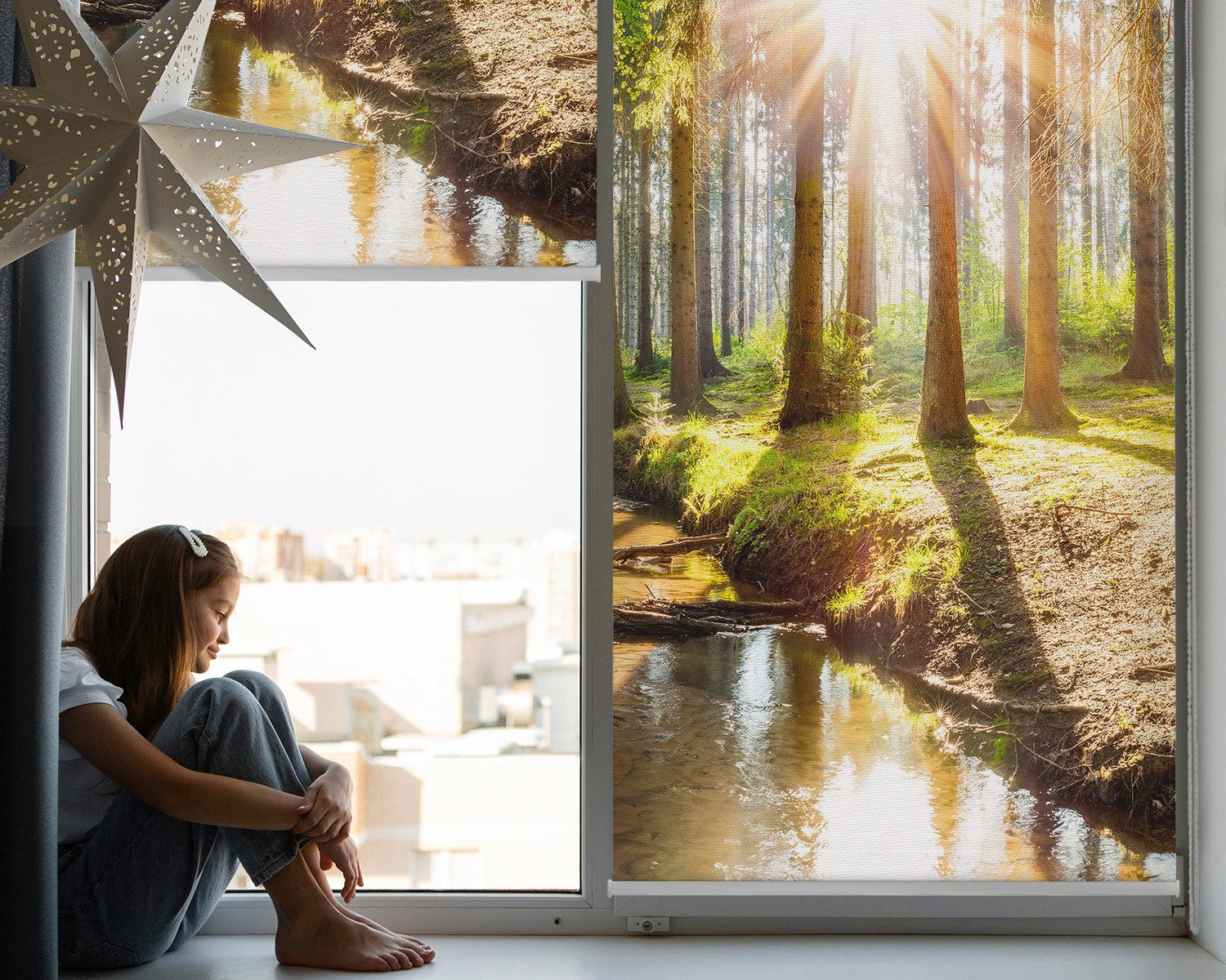 Rollo Rollos für Fenster, Seitenzugrollo, verdunkelung günstig online kaufen