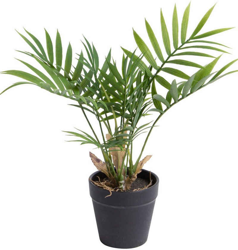 Künstliche Zimmerpflanze »Chamaedorea Palme« Palme, Botanic-Haus, Höhe 28 cm