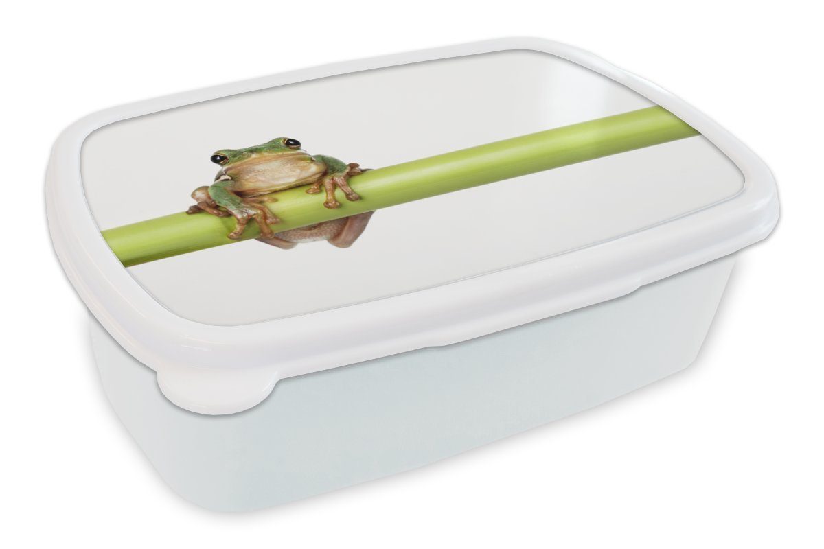 MuchoWow Lunchbox Frosch - Bambus - Weiß, Kunststoff, (2-tlg), Brotbox für Kinder und Erwachsene, Brotdose, für Jungs und Mädchen | Lunchboxen