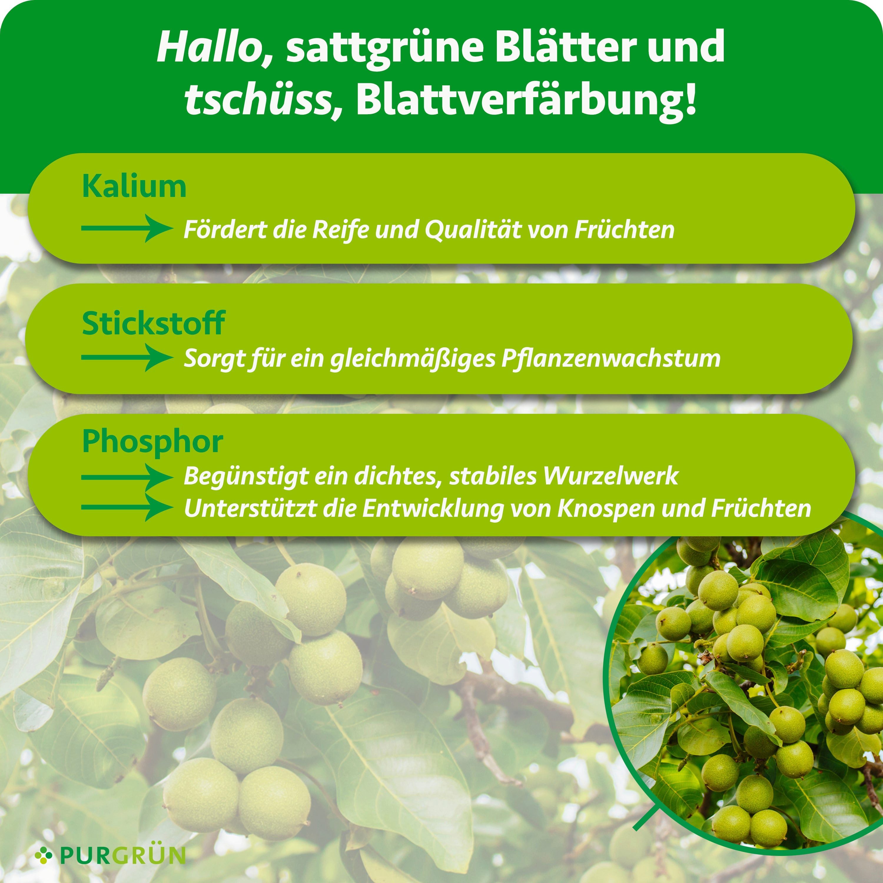 Purgrün Gartendünger Bio Nussbaum Dünger, NPK 6+2+7, Magnesium, 1 kg, Granulat, 1-St., 1 kg