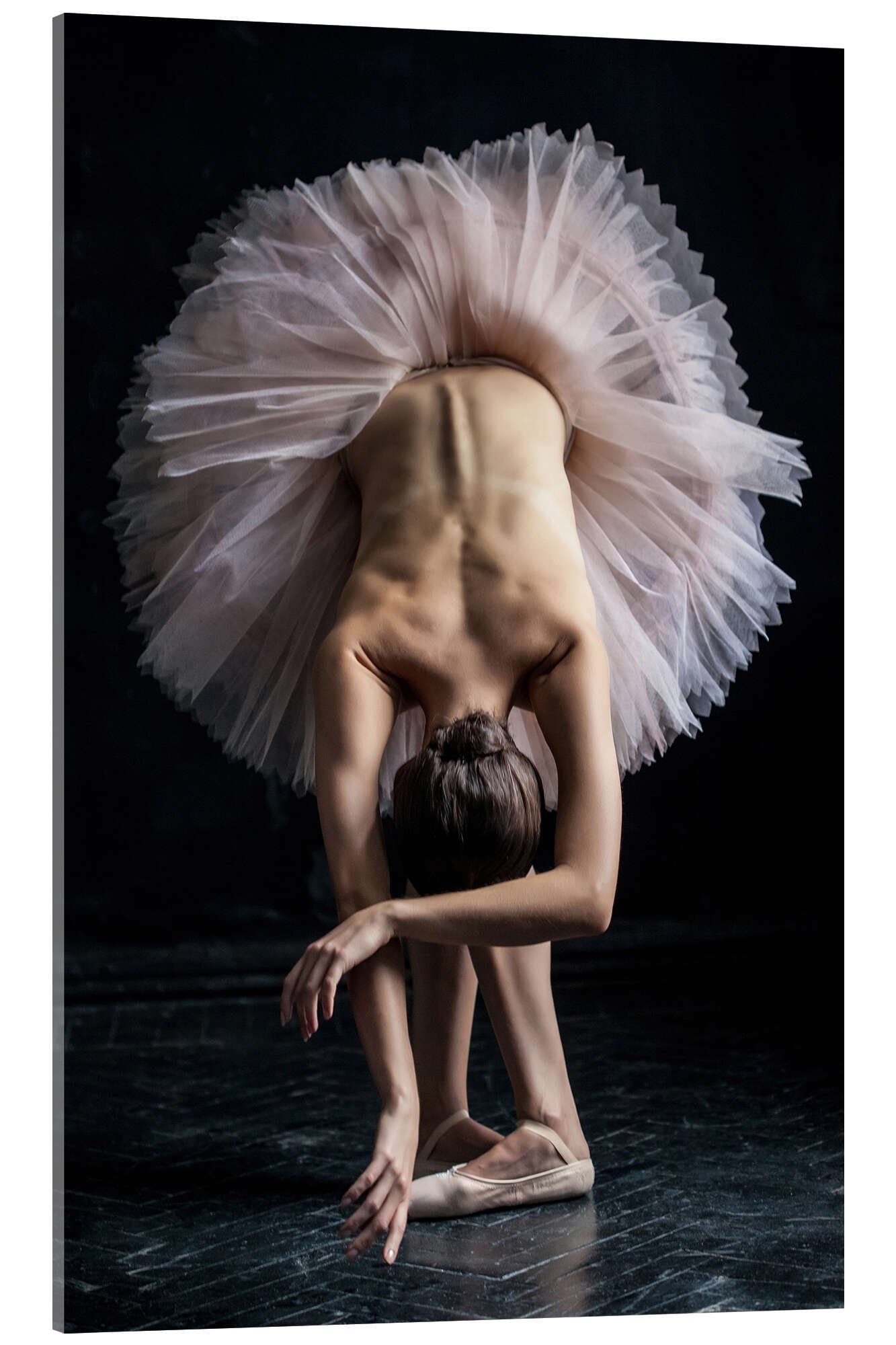 Posterlounge Acrylglasbild Editors Choice, Schöne Ballerina verbeugt sich, Fotografie
