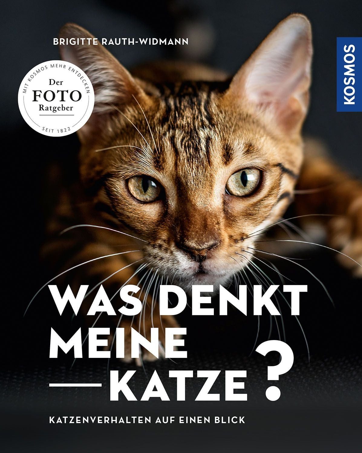 Sachbuch Was denkt meine Katze Katzenverhalten auf einen Blick - Der Foto-Ratge Brigitte Rauth-Widmann
