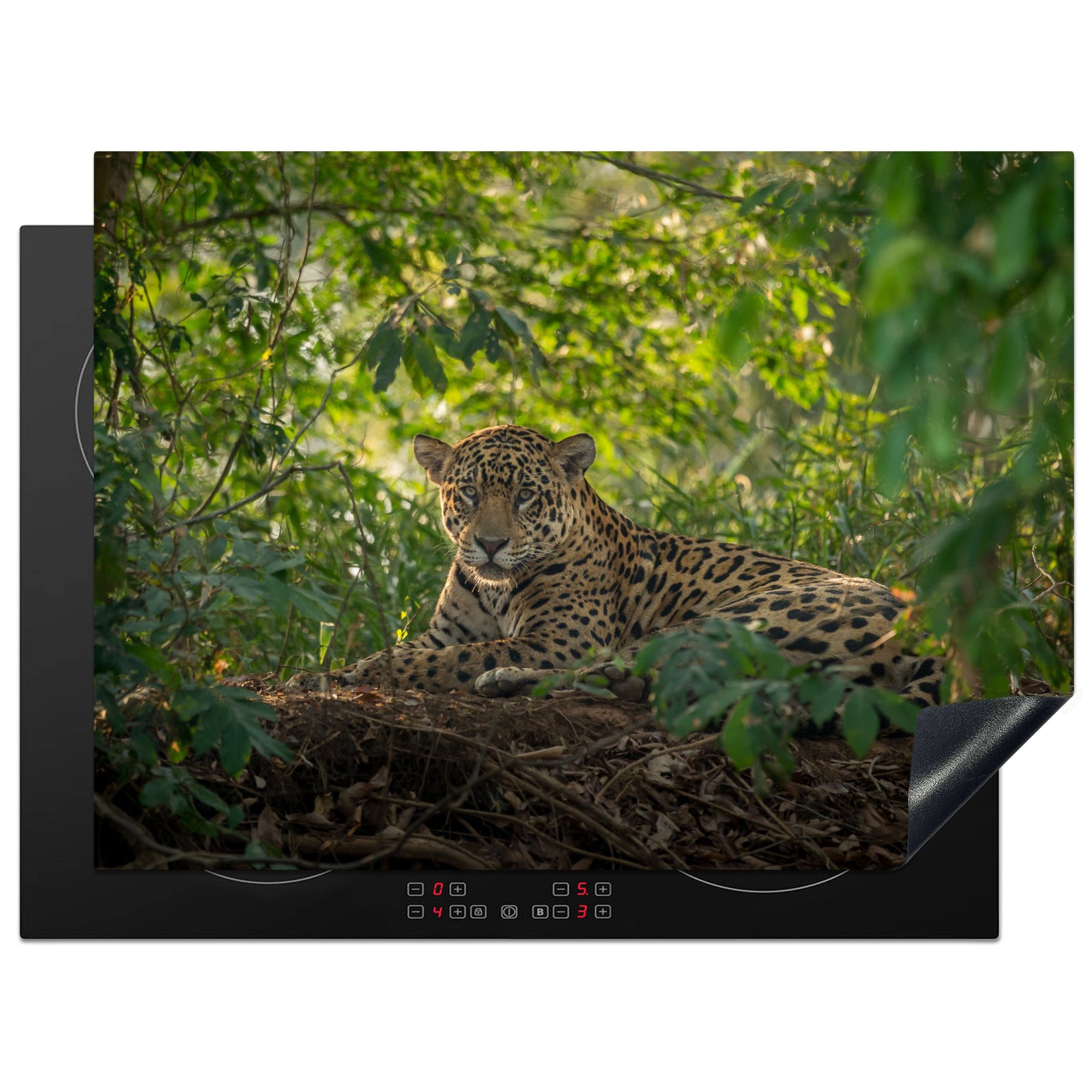 cm, Jaguar tlg), Herdblende-/Abdeckplatte Vinyl, MuchoWow (1 Dschungel, nutzbar, Arbeitsfläche Mobile Ceranfeldabdeckung im 70x52