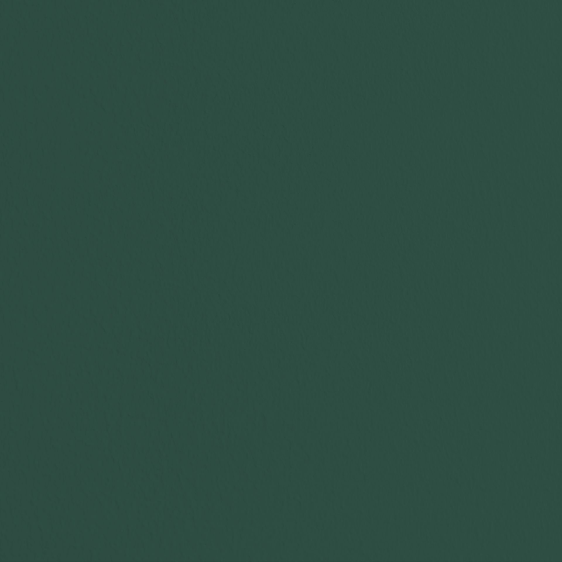 hoher Wald mit wasserbasiert sehr spritzfreie geruchsneutrale L, mit Wandfarbe Deckkraft 1 Wandfarbe MissPompadour matte - und Innenfarbe, Grün
