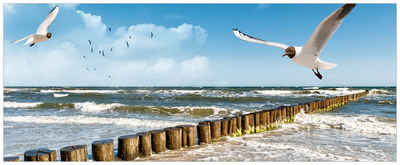 Wallario Glasbild, Fliegende Möwe am Strand, in verschiedenen Ausführungen