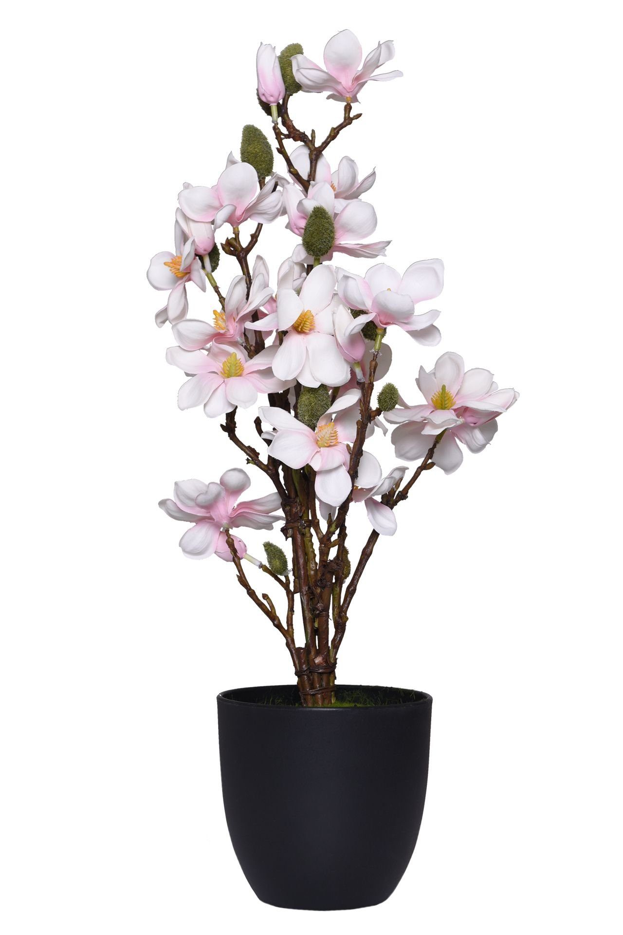 Kunstpflanze Kunstpflanze Kunstblume Creme in und VIVANNO, Blüten MAGNOLIA, cm im 55 Topf Höhe mit Rosa