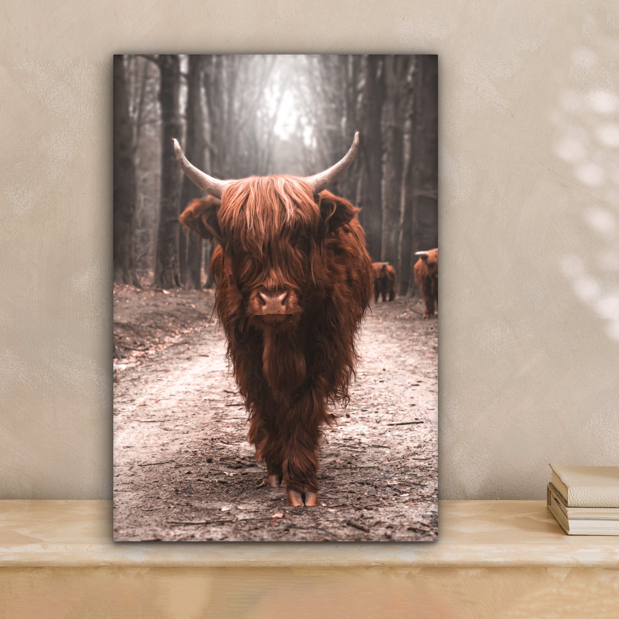OneMillionCanvasses® Leinwandbild Schottischer Highlander - Tier günstig online kaufen