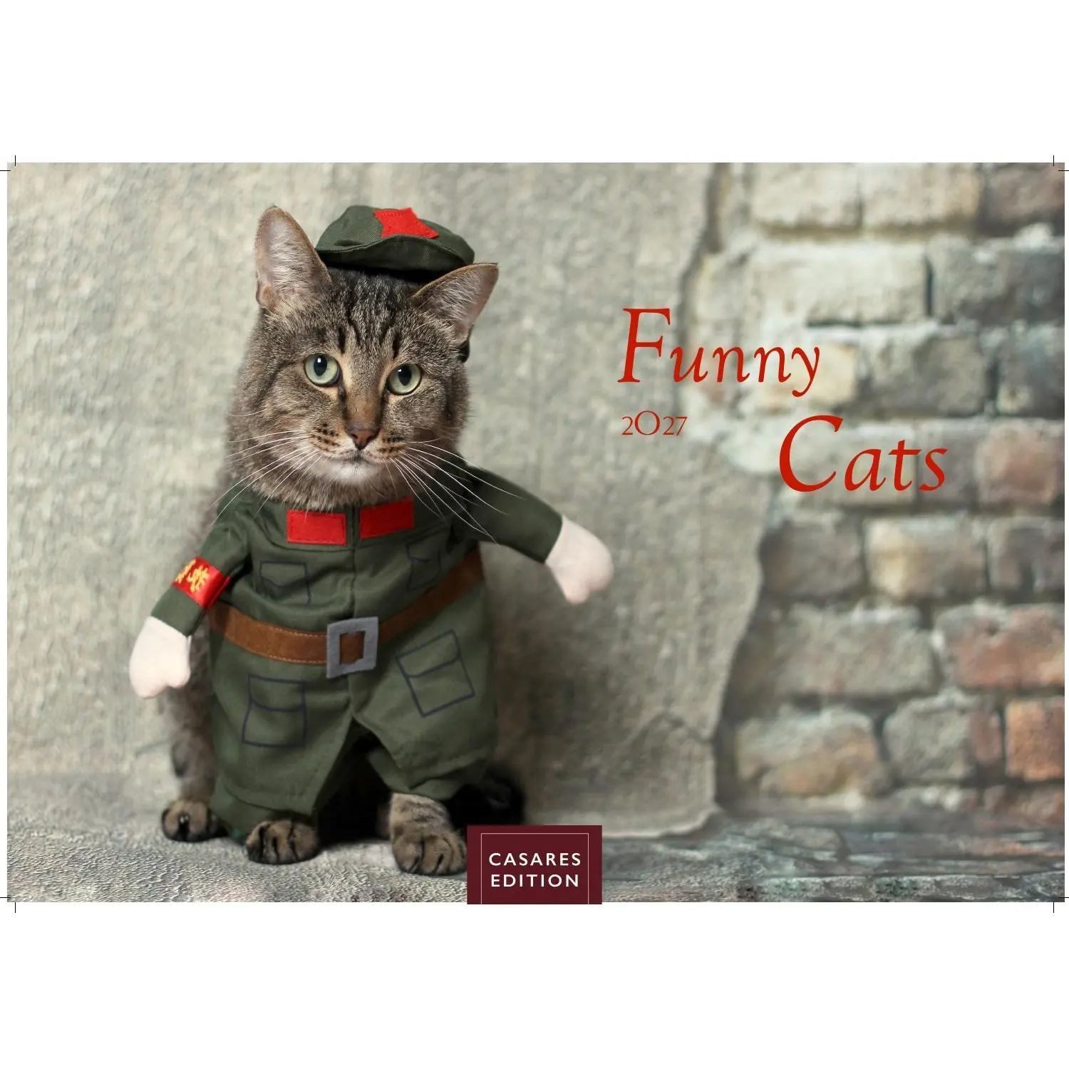 Wandkalender Funny Cats Kalender 2027 - Wandkalender, Fotokalender Tierkalender...