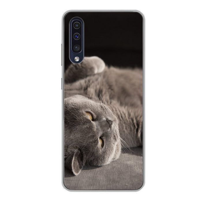 MuchoWow Handyhülle Tier - Katze - Grau Handyhülle Samsung Galaxy A50 Smartphone-Bumper Print Handy