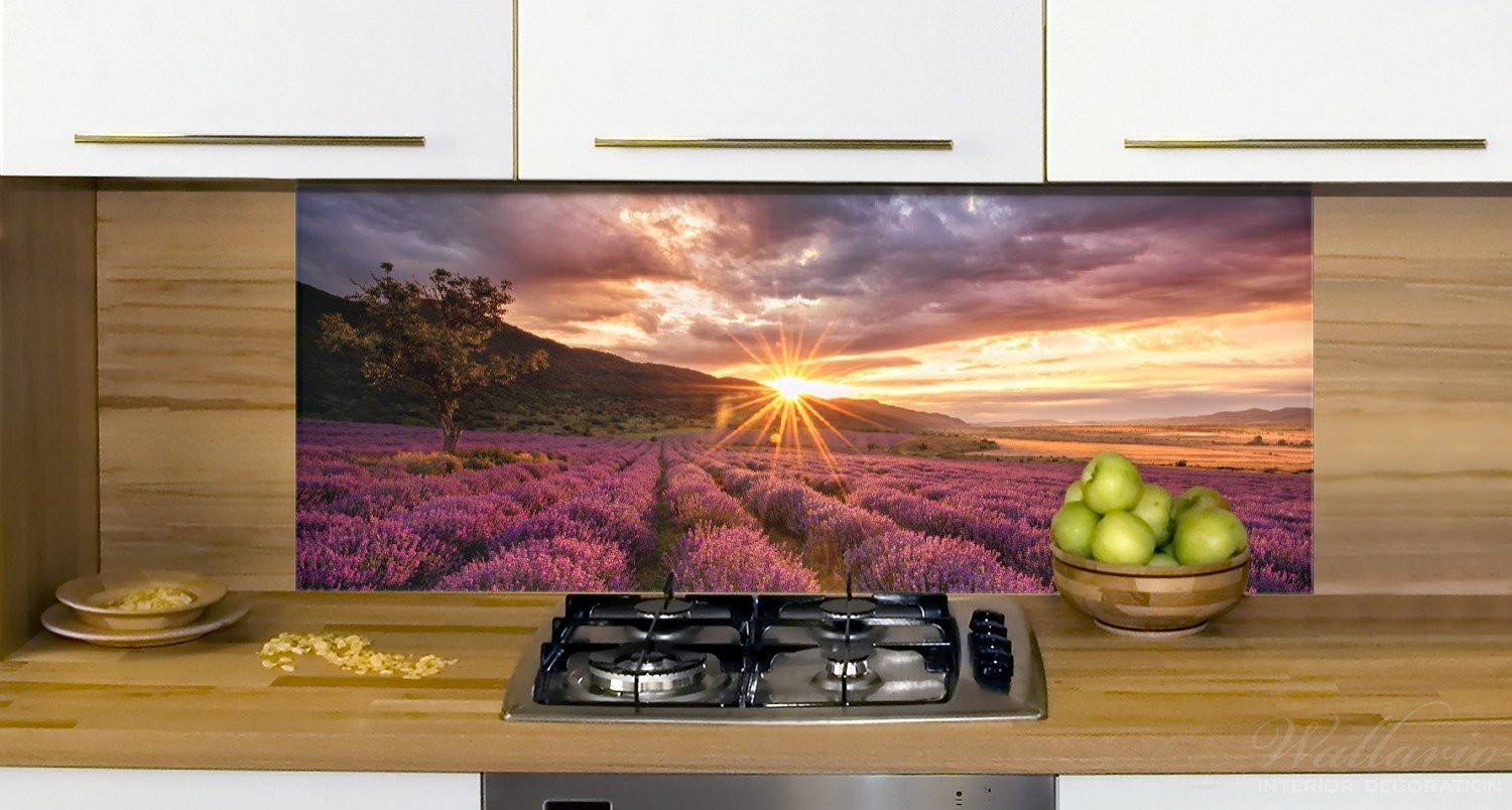 - Sonnenuntergang Wallario (1-tlg) Lavendelfeld bei Sonnenstrahlen, Küchenrückwand
