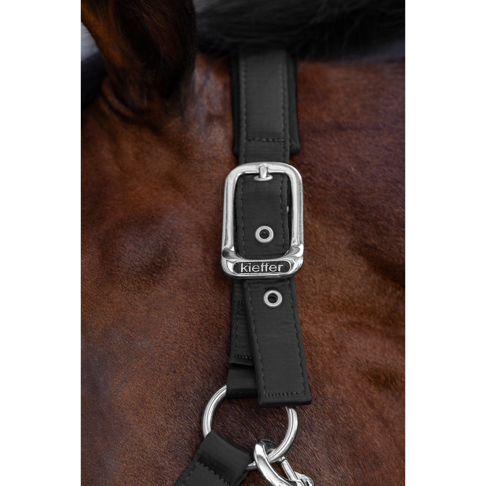 Kieffer Halfter Nylonhalfter unterlegt, Stallhalfter Satin Shine, Schwarz, Warmblut, Nylon