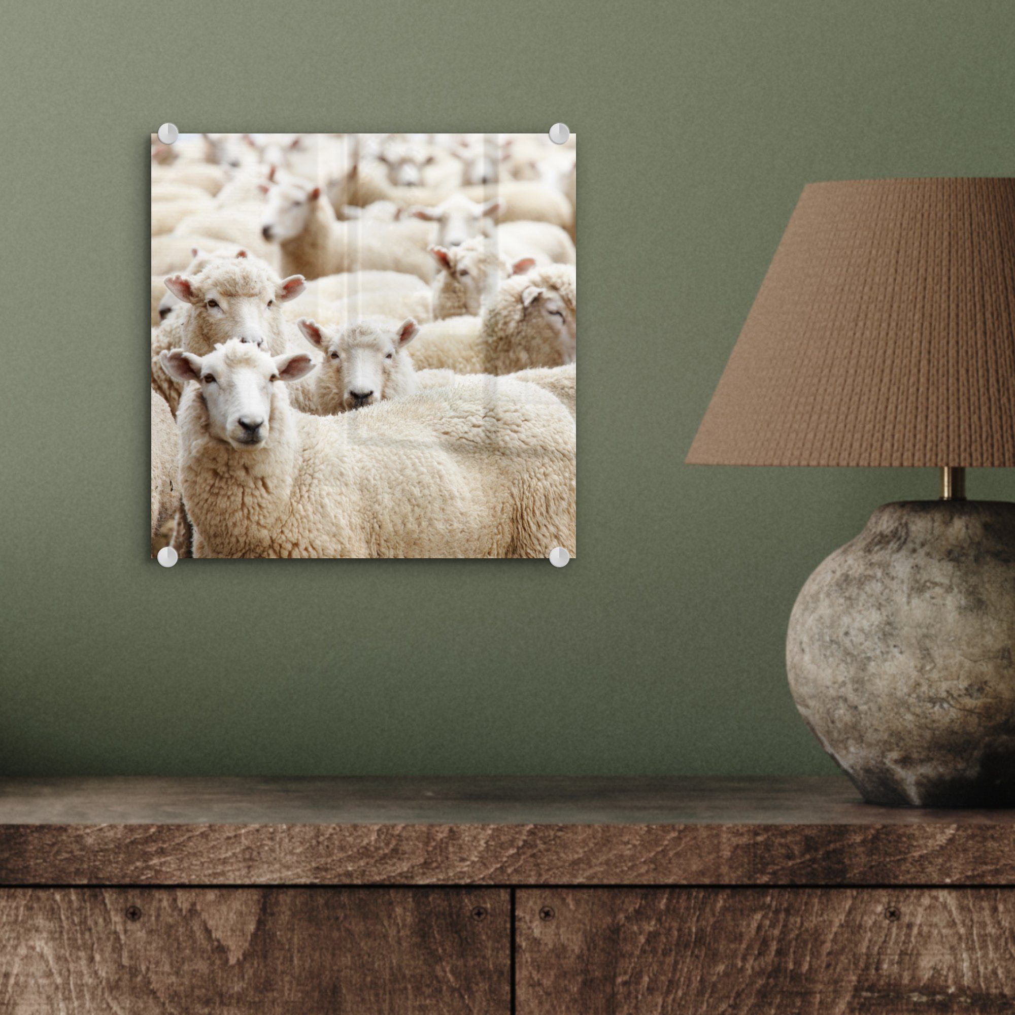 auf Bilder Wandbild Schafe Wolle - auf Glasbilder Wanddekoration Glas - Foto (1 - St), Glas MuchoWow - Weiß, - Acrylglasbild