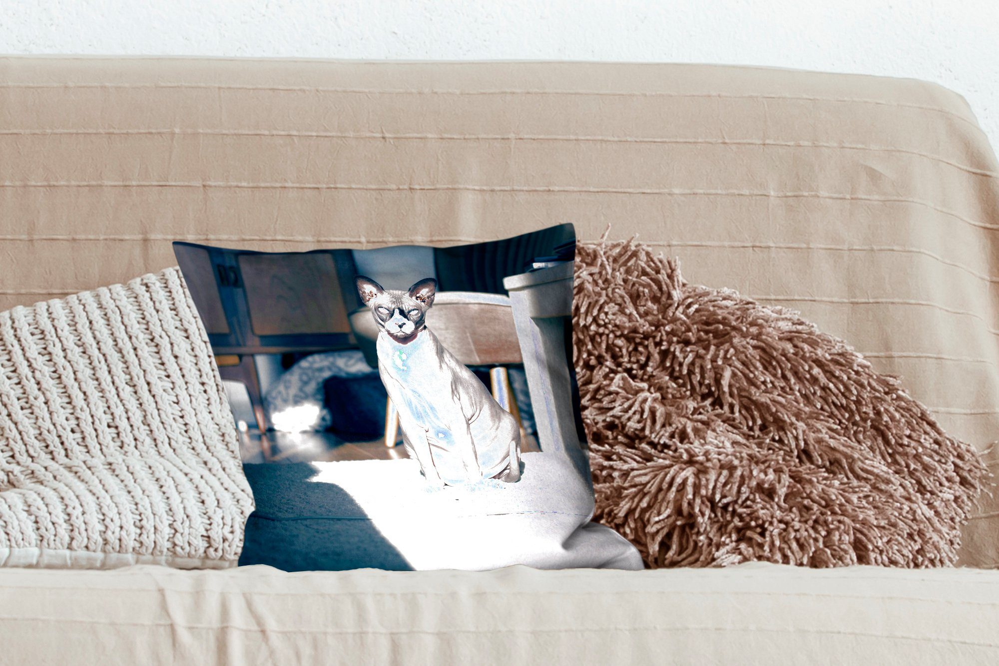 MuchoWow Dekokissen Deko, Sphynx-Katze, der auf für Sofakissen Wohzimmer, mit Zierkissen Schlafzimmer, Sonnenstrahlen Füllung