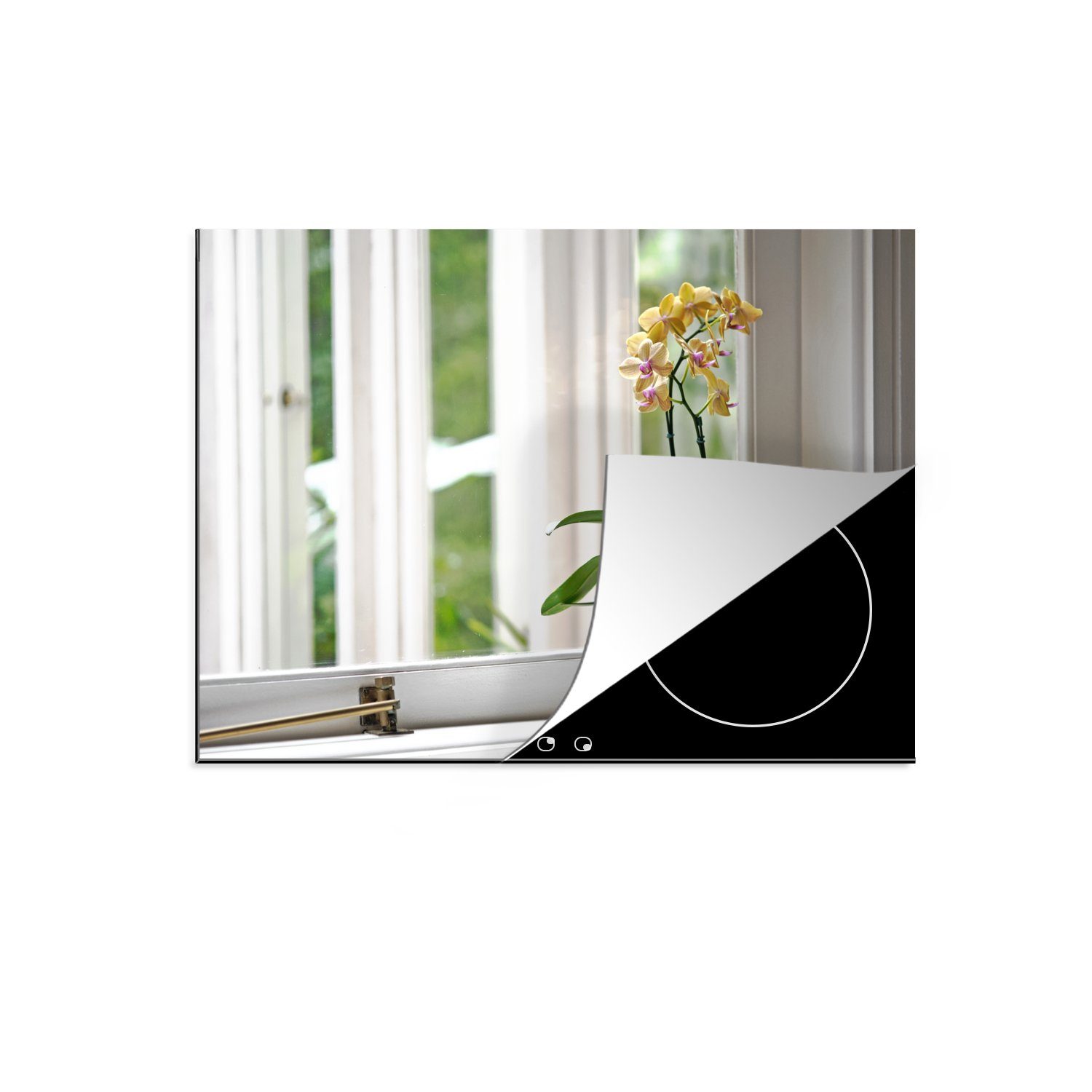 MuchoWow Herdblende-/Abdeckplatte Die Orchideen in einem Blumentopf vor dem Fenster, Vinyl, (1 tlg), 70x52 cm, Mobile Arbeitsfläche nutzbar, Ceranfeldabdeckung | Herdabdeckplatten