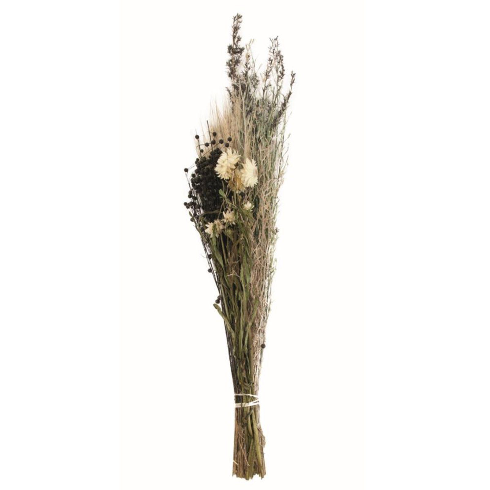 Trockenblume Getrockneter Blumenstrauß natur - dried flower bouquet - 78x15x12 cm, DIJK