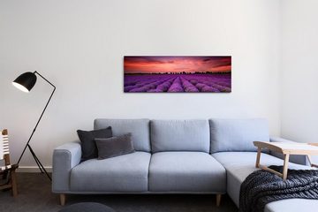 möbel-direkt.de Leinwandbild Bilder XXL Lavendelfeld Wandbild auf Leinwand