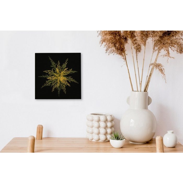 MuchoWow Leinwandbild Eine Goldrutenblüte auf schwarzem Hintergrund (1 St) Leinwand Bilder Wandbilder Wohnzimmer Dekoration