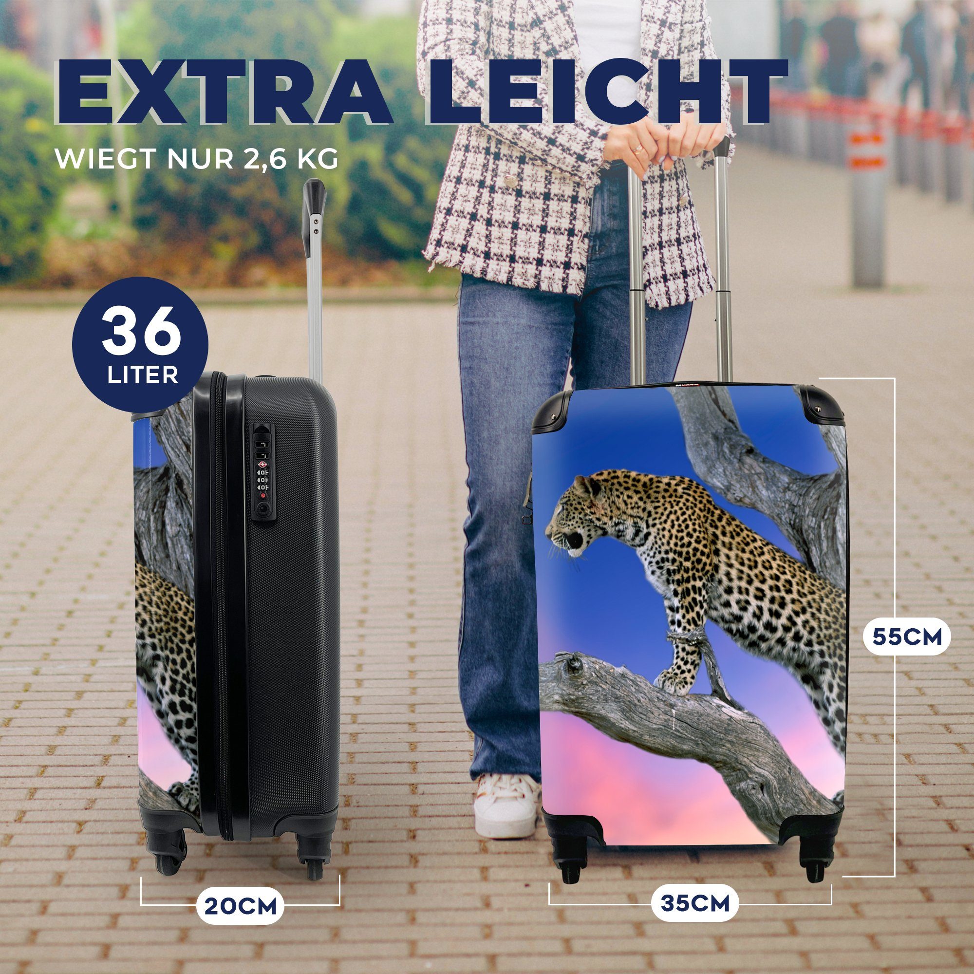 Trolley, für Handgepäckkoffer Baum Zweig, mit Reisekoffer MuchoWow Handgepäck Reisetasche rollen, - Rollen, - Ferien, 4 Leopard