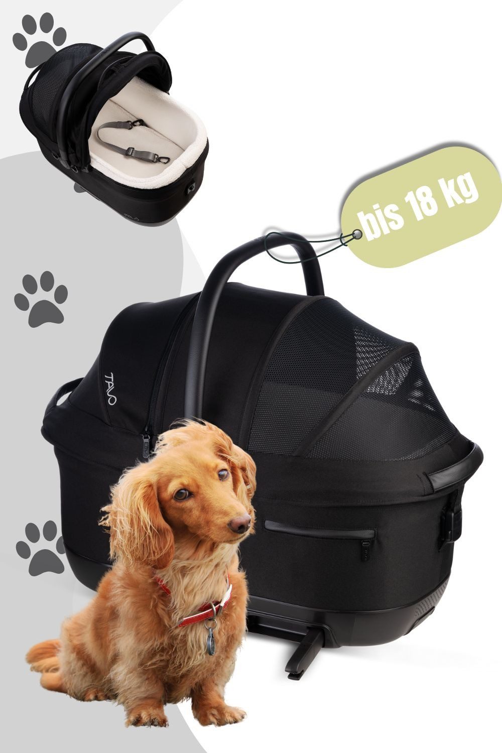 Tavo Hunde-Autositz Pets Maeve™ iso6X Haustier-Autositz Medium