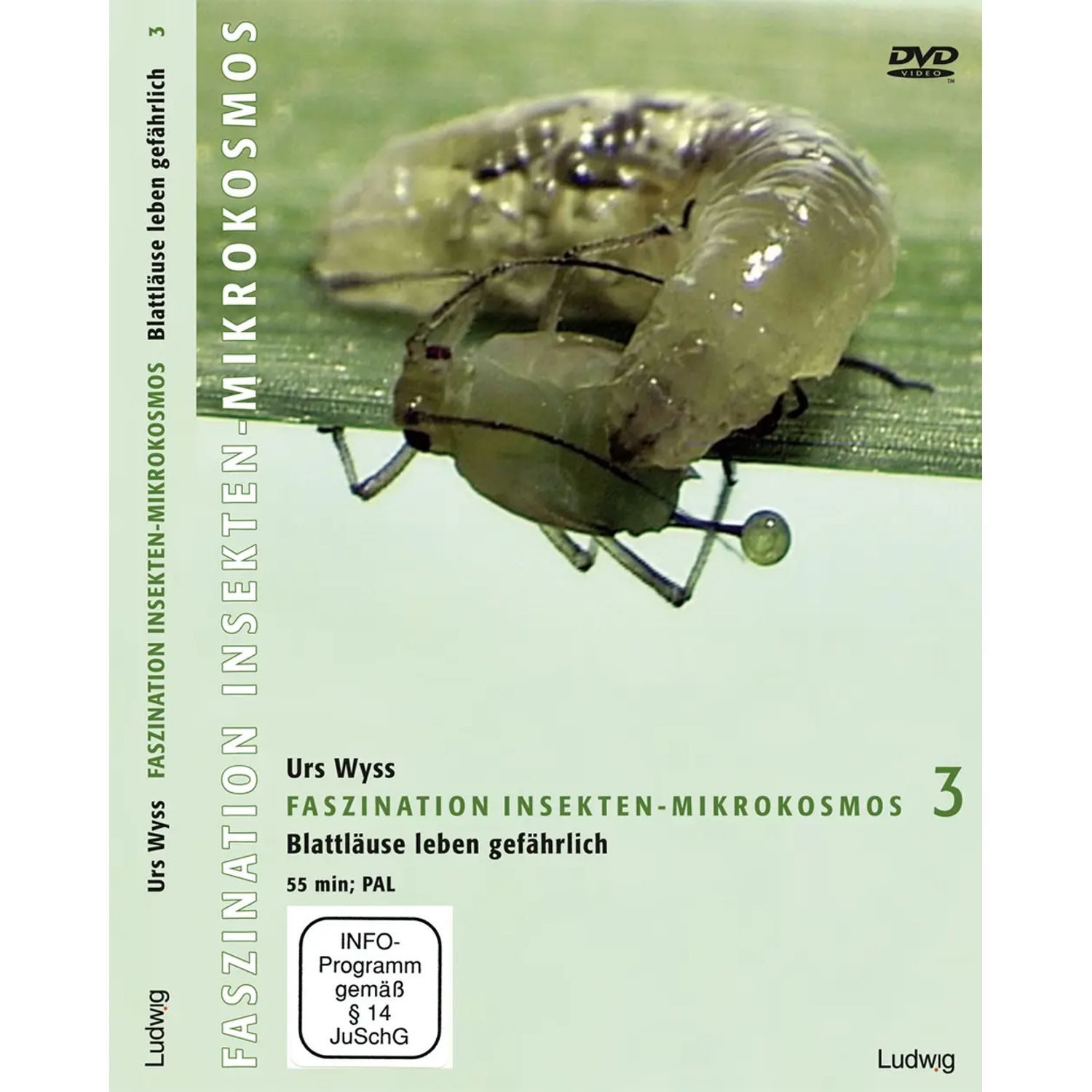 Ludwig DVD Faszination Insekten-Mikrokosmos 3 Blattläuse leben gefährlich