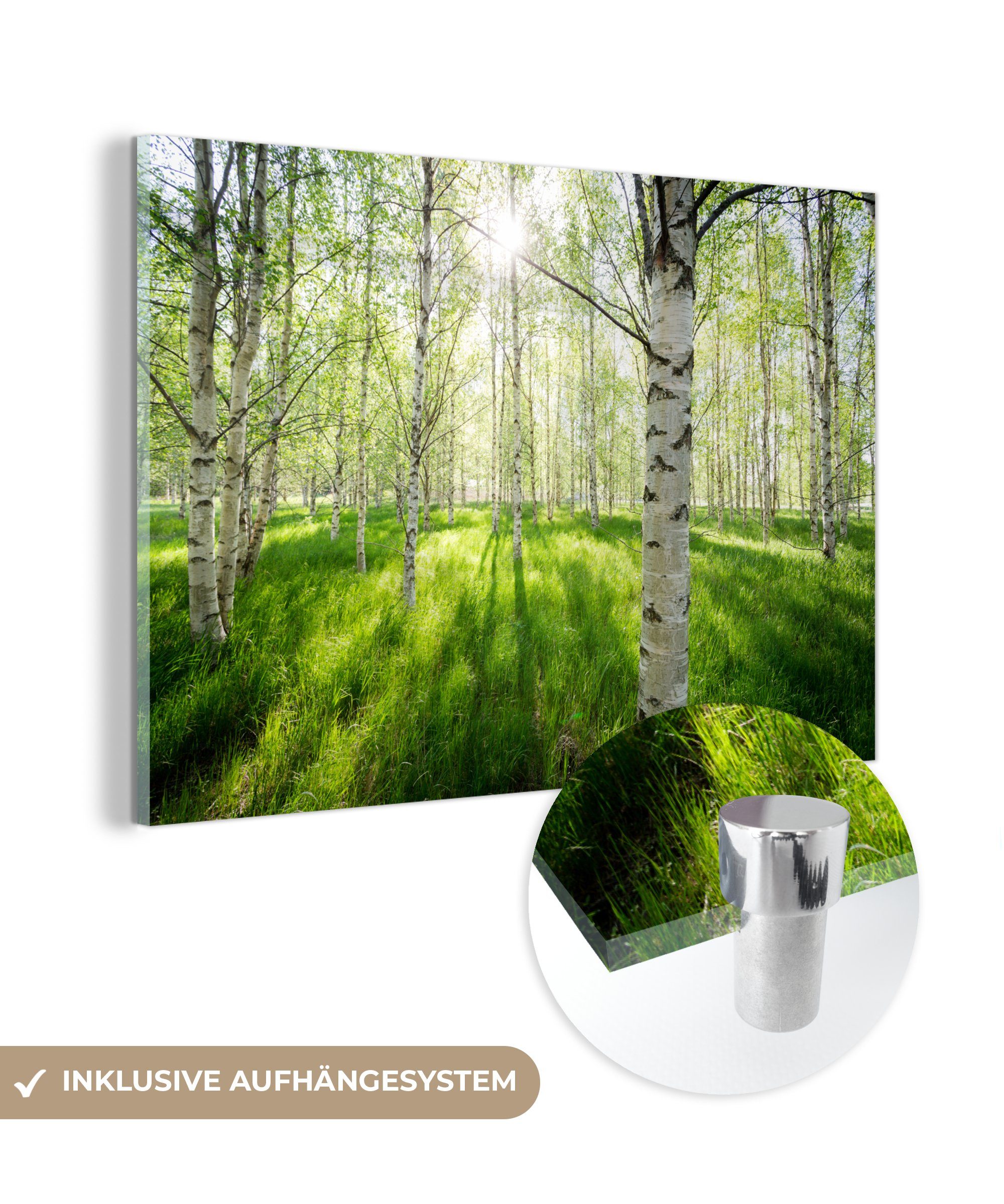 MuchoWow Acrylglasbild Birke - Wald - Frühling, (1 St), Acrylglasbilder Wohnzimmer & Schlafzimmer | Bilder